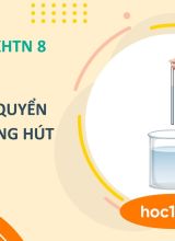 Áp suất khí quyển bên trong ống hút - KHTN 8 - Hoc10